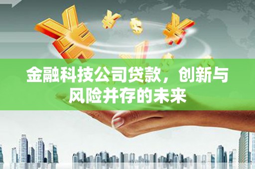 马尔康金融科技公司贷款，创新与风险并存的未来