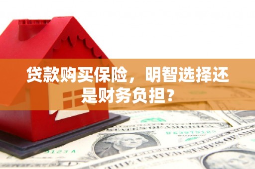 马尔康贷款购买保险，明智选择还是财务负担？