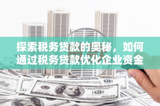 马尔康探索税务贷款的奥秘，如何通过税务贷款优化企业资金流