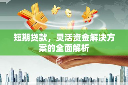 马尔康短期贷款，灵活资金解决方案的全面解析
