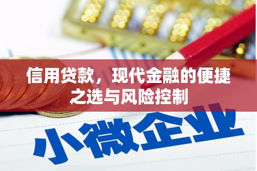 马尔康信用贷款，现代金融的便捷之选与风险控制