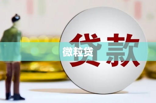 马尔康微粒贷