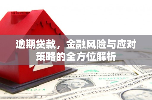 马尔康逾期贷款，金融风险与应对策略的全方位解析