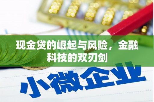 马尔康现金贷的崛起与风险，金融科技的双刃剑