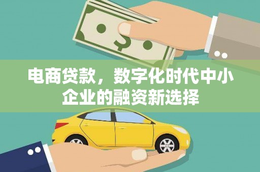 马尔康电商贷款，数字化时代中小企业的融资新选择