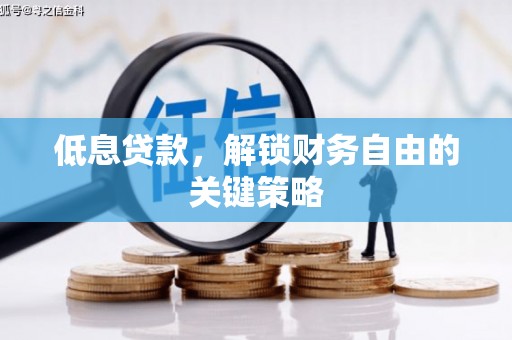 马尔康低息贷款，解锁财务自由的关键策略
