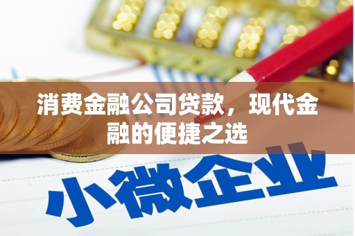 马尔康消费金融公司贷款，现代金融的便捷之选