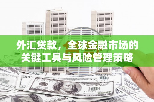 马尔康外汇贷款，全球金融市场的关键工具与风险管理策略