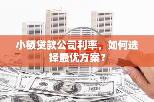 马尔康小额贷款公司利率，如何选择最优方案？