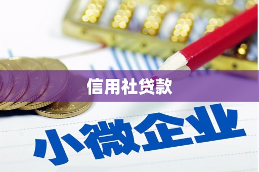 马尔康信用社贷款