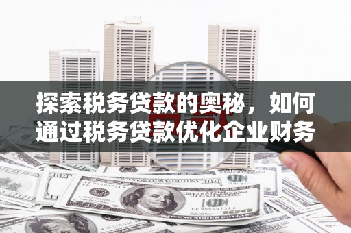 马尔康探索税务贷款的奥秘，如何通过税务贷款优化企业财务