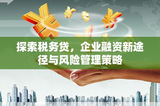马尔康探索税务贷，企业融资新途径与风险管理策略