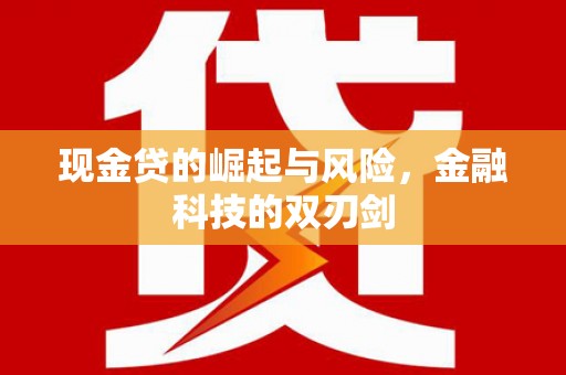 马尔康现金贷的崛起与风险，金融科技的双刃剑