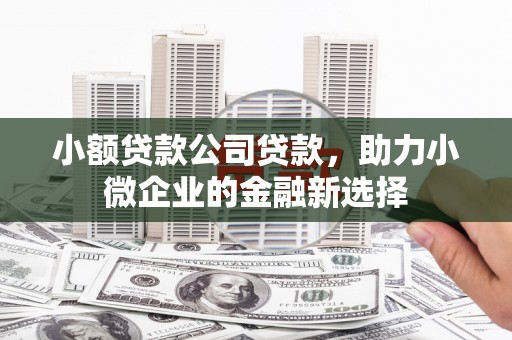 马尔康小额贷款公司贷款，助力小微企业的金融新选择