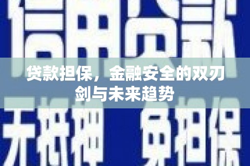 马尔康贷款担保，金融安全的双刃剑与未来趋势