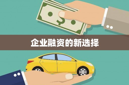 马尔康企业融资的新选择