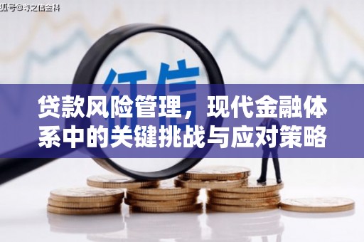 马尔康贷款风险管理，现代金融体系中的关键挑战与应对策略