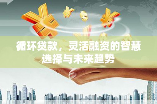 马尔康循环贷款，灵活融资的智慧选择与未来趋势