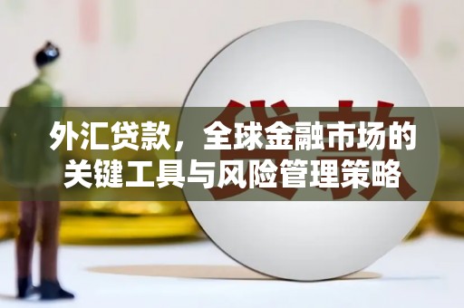 马尔康外汇贷款，全球金融市场的关键工具与风险管理策略