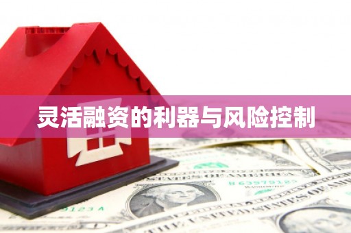 马尔康灵活融资的利器与风险控制