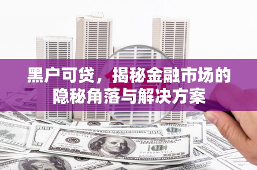 马尔康黑户可贷，揭秘金融市场的隐秘角落与解决方案