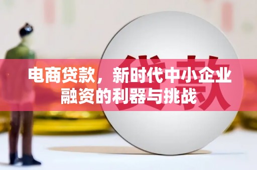 马尔康电商贷款，新时代中小企业融资的利器与挑战