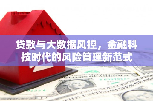 马尔康贷款与大数据风控，金融科技时代的风险管理新范式