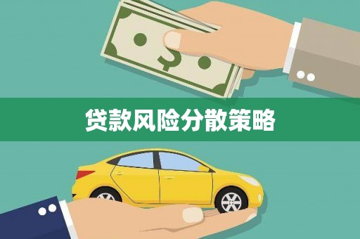 马尔康贷款风险分散策略