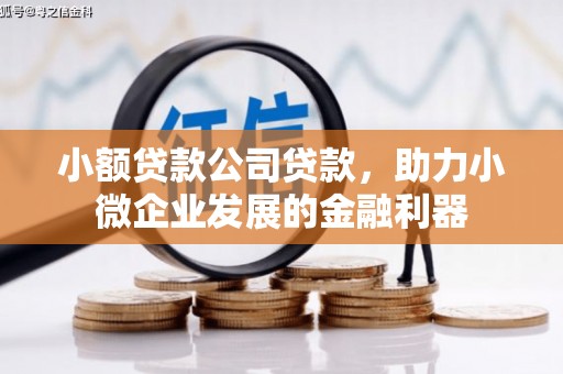 马尔康小额贷款公司贷款，助力小微企业发展的金融利器