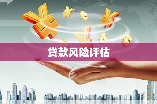 马尔康贷款风险评估