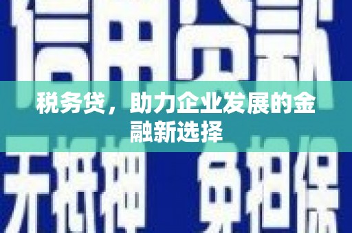 马尔康税务贷，助力企业发展的金融新选择