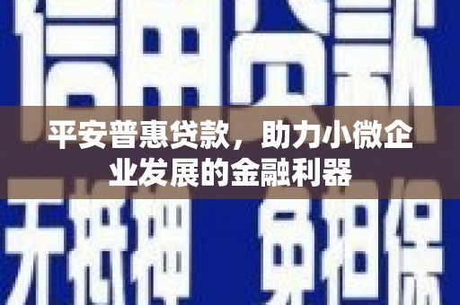 马尔康平安普惠贷款，助力小微企业发展的金融利器