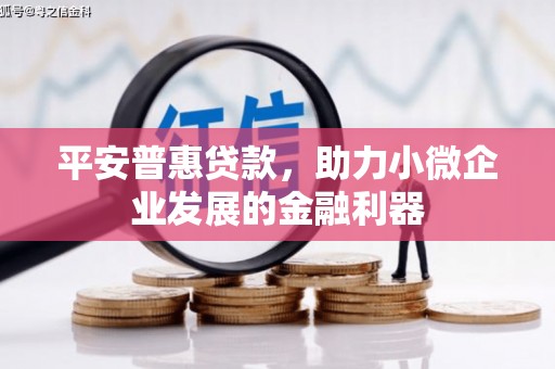 马尔康平安普惠贷款，助力小微企业发展的金融利器