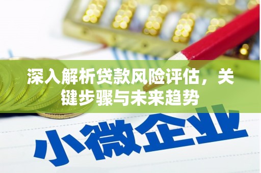 马尔康深入解析贷款风险评估，关键步骤与未来趋势