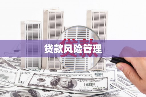 马尔康贷款风险管理
