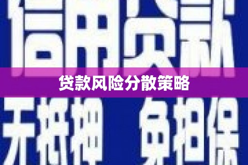 马尔康贷款风险分散策略