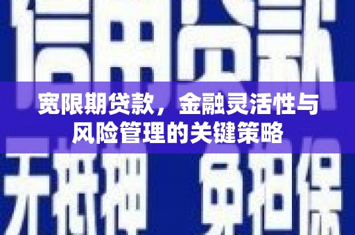 马尔康宽限期贷款，金融灵活性与风险管理的关键策略