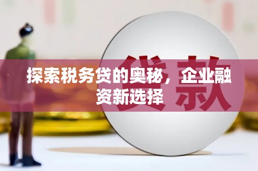马尔康探索税务贷的奥秘，企业融资新选择