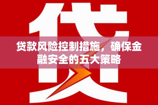 马尔康贷款风险控制措施，确保金融安全的五大策略