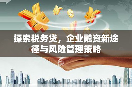 马尔康探索税务贷，企业融资新途径与风险管理策略