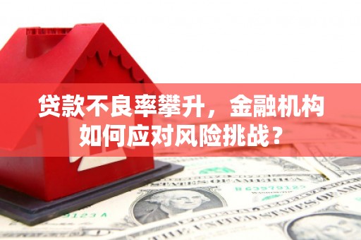 马尔康贷款不良率攀升，金融机构如何应对风险挑战？