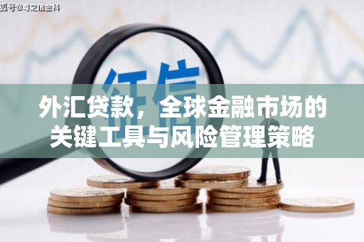 马尔康外汇贷款，全球金融市场的关键工具与风险管理策略