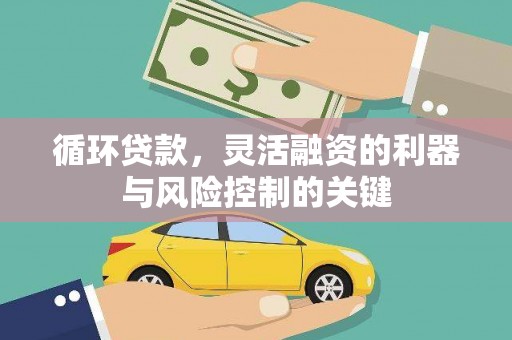 马尔康循环贷款，灵活融资的利器与风险控制的关键