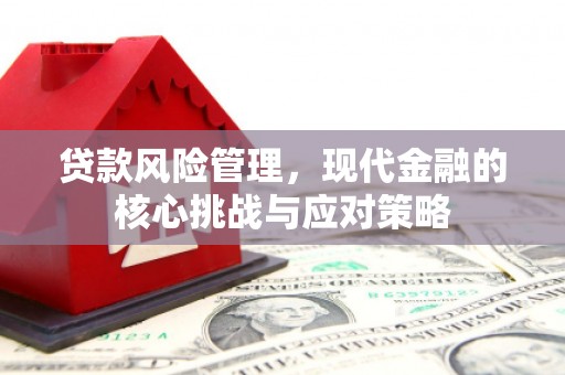 马尔康贷款风险管理，现代金融的核心挑战与应对策略
