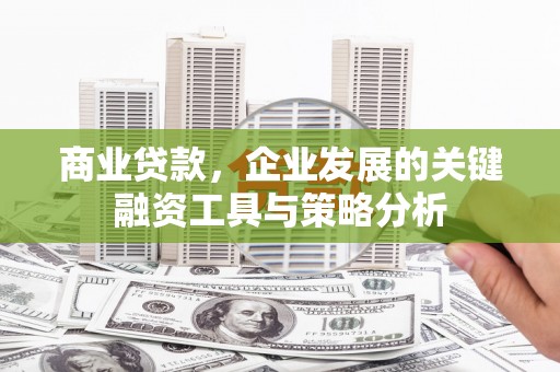 马尔康商业贷款，企业发展的关键融资工具与策略分析