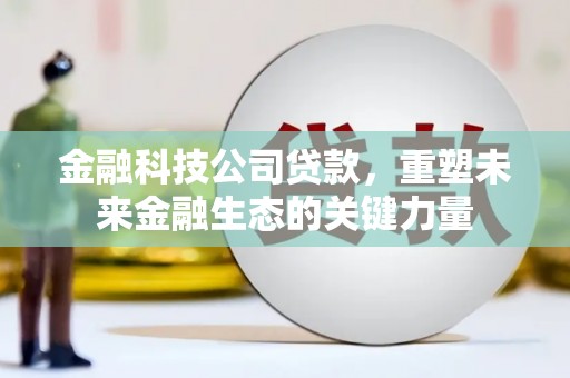 马尔康金融科技公司贷款，重塑未来金融生态的关键力量