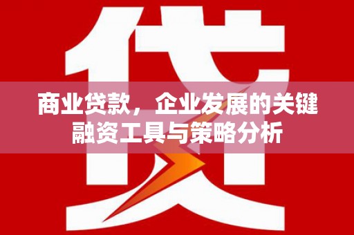马尔康商业贷款，企业发展的关键融资工具与策略分析