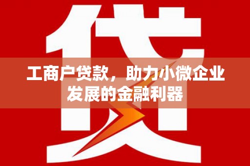 马尔康工商户贷款，助力小微企业发展的金融利器