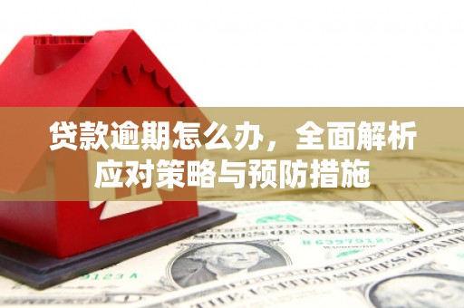 马尔康贷款逾期怎么办，全面解析应对策略与预防措施