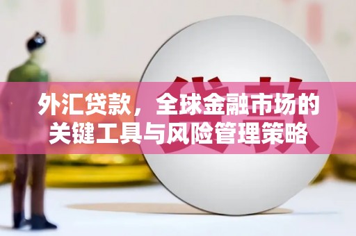 马尔康外汇贷款，全球金融市场的关键工具与风险管理策略